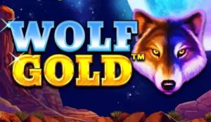 Wolf Gold