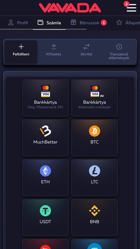 Vavada válassza ki a fizetési módot