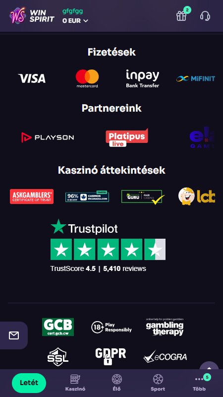 WinSpirit site page - payment, partners