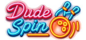 DudeSpin logo